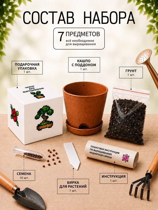 Про Растения Индийская Сирень набор для выращивания растений дома, фиолетовый, фото 2