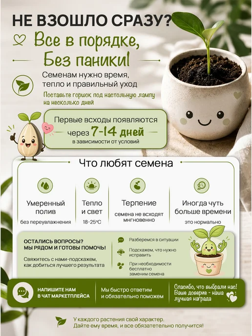 Про Растения Индийская Сирень набор для выращивания растений дома, фиолетовый, фото 8