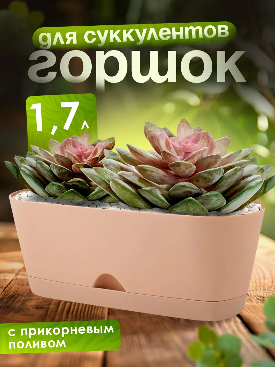 Горшок для суккулентов овальный