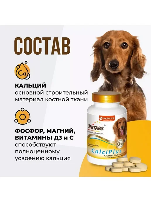 UNITABS CalciPlus с Q10 для собак Кальций, фосфор и Витамин D 100таб, 100 мл, фото 2