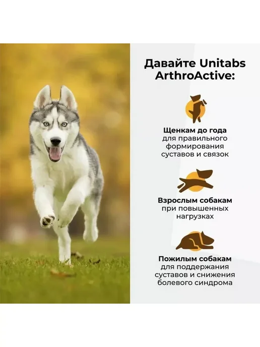 UNITABS ArthroАctive Витамины для собак с Q10 для суставов 200таб, 201 мл, фото 7