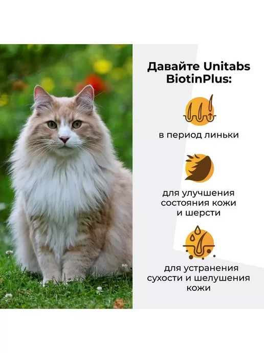 UNITABS БиотинПлюс с таурином и Q10 для кожи и шерсти кошек 120таб, 120 мл, фото 3