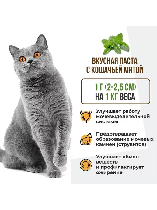 UNITABS Юнитабс SterilCat с Q10 для снижения риска МКБ (200таб), 120 мл, фото 2