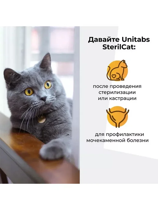 UNITABS Юнитабс SterilCat с Q10 для снижения риска МКБ (200таб), 120 мл, фото 3