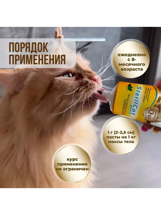 UNITABS Юнитабс SterilCat с Q10 для снижения риска МКБ (200таб), 120 мл, фото 6