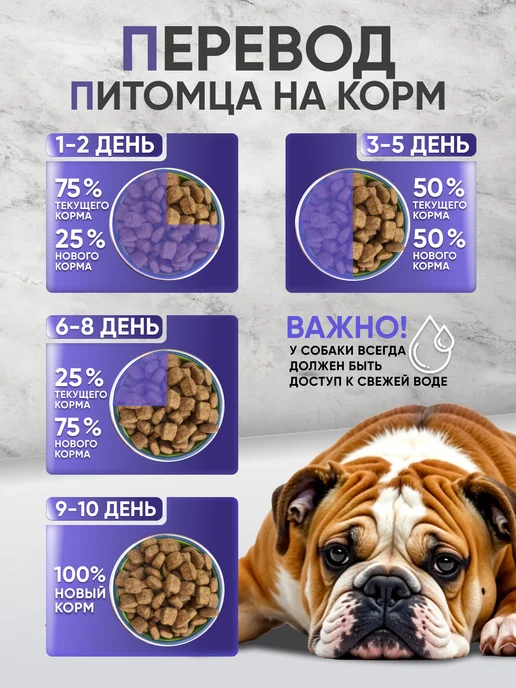 Сухой корм Bisko Lite для собак, пожилые, 15 кг, фото 6