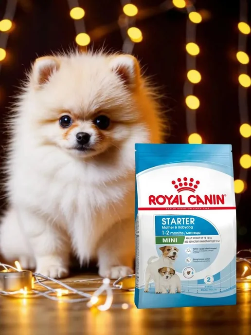 Сухой корм Royal canin Starter Месяц. для собак, мелкие, щенки, 3 кг, фото 3