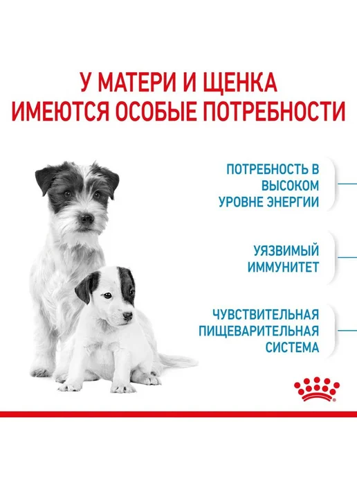 Сухой корм Royal canin Starter Месяц. для собак, мелкие, щенки, 3 кг, фото 4
