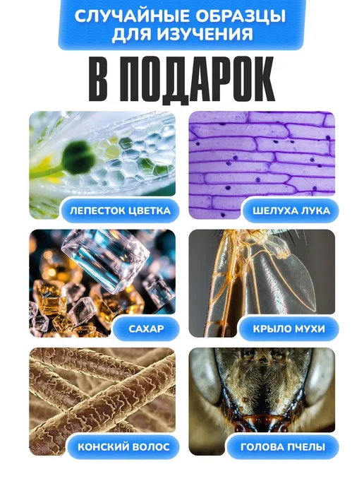 Fommi Детский микроскоп лупа с экраном и подсветкой, фиолетовый, фото 2