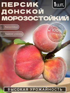 Персик саженец Донской Морозостойкий Крымский Сад 303143891 купить за 387 ₽ в интернет-магазине Wildberries