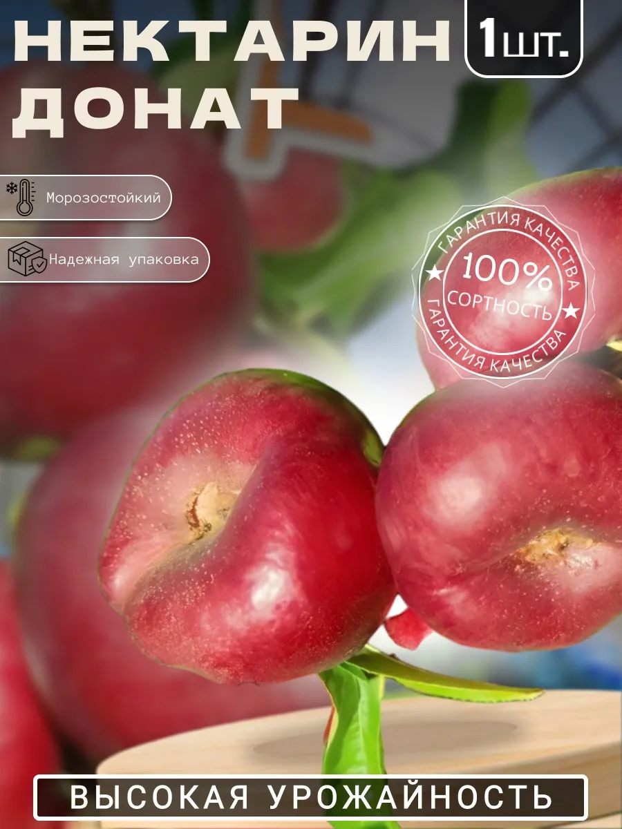 Нектарин саженец Донат Крымский Сад 303156590 купить за 405 ₽ в интернет-магазине Wildberries