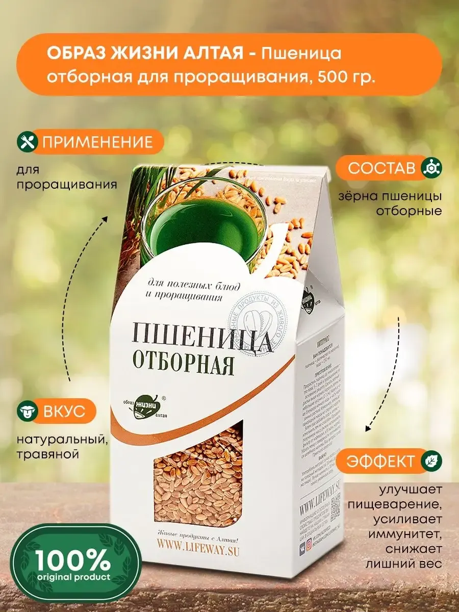 Пшеница для проращивания (wheat) LifeWay, 500г