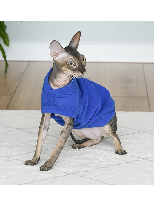 PetShop Жилет для кошек "Ньёрд", синий, размер L Tappi, синий, фото 4