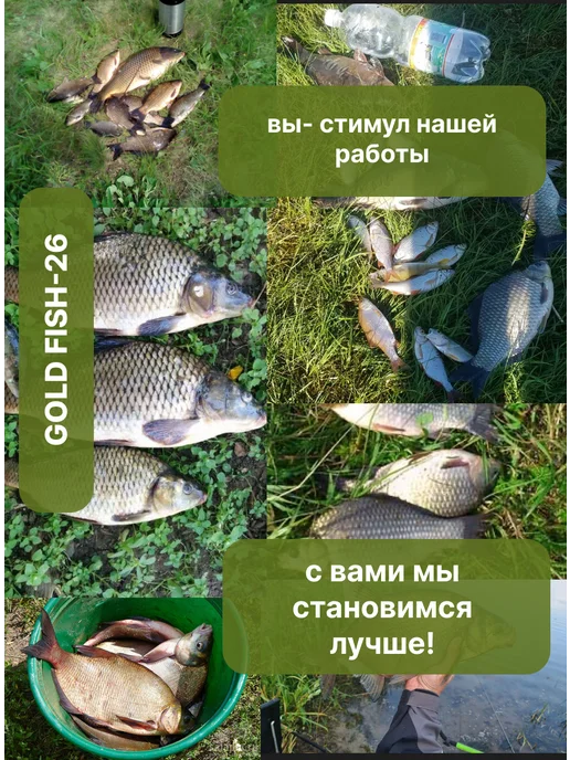Gold fish-26 Кормушка для рыбалки фидерная Лыжа 100г 2 шт, 100 г, 2 шт, фото 4