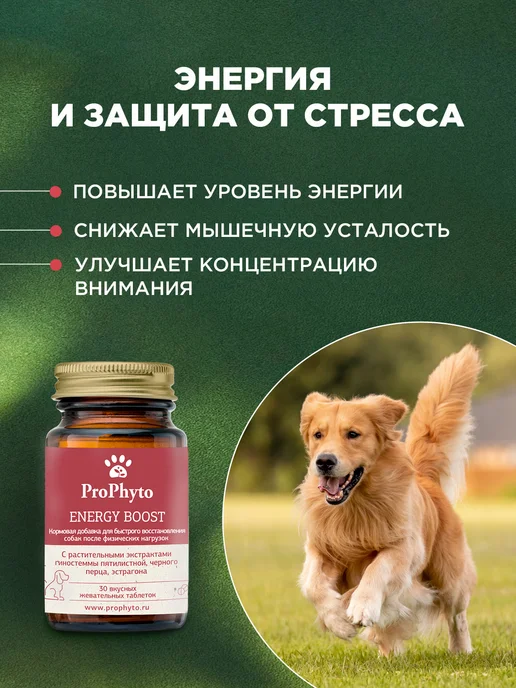 ProPhyto Витамины для активных собак Энерджи Буст, 30 таблеток, 30, фото 2