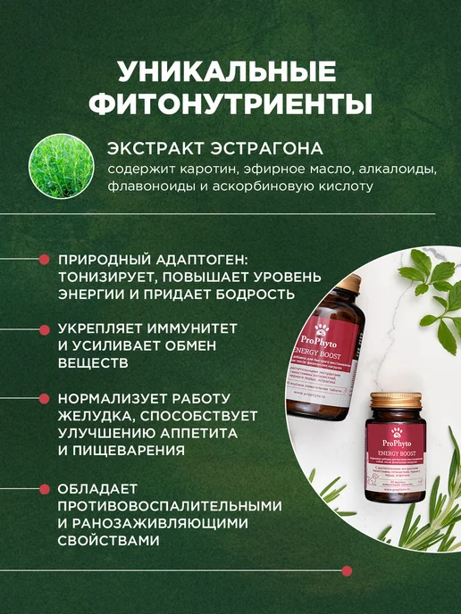 ProPhyto Витамины для активных собак Энерджи Буст, 30 таблеток, 30, фото 4