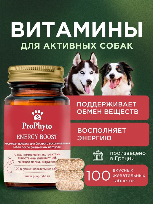 ProPhyto Витамины для активных собак Энерджи Буст, 30 таблеток, 100