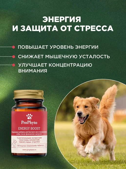ProPhyto Витамины для активных собак Энерджи Буст, 30 таблеток, 100, фото 2