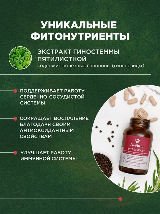 ProPhyto Витамины для активных собак Энерджи Буст, 30 таблеток, 100, фото 3