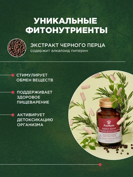 ProPhyto Витамины для активных собак Энерджи Буст, 30 таблеток, 100, фото 5