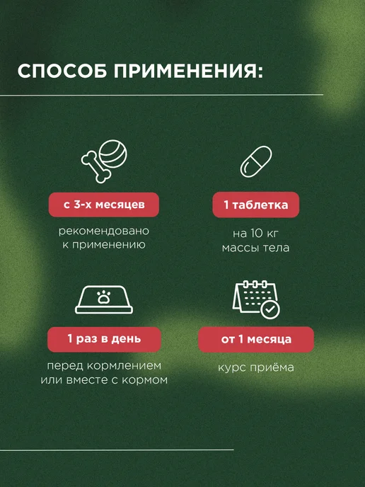ProPhyto Витамины для активных собак Энерджи Буст, 30 таблеток, 100, фото 7