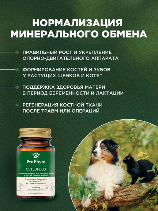 ProPhyto Витамины для собак и кошек Остеоплюс, 40 таблеток, 70, фото 2