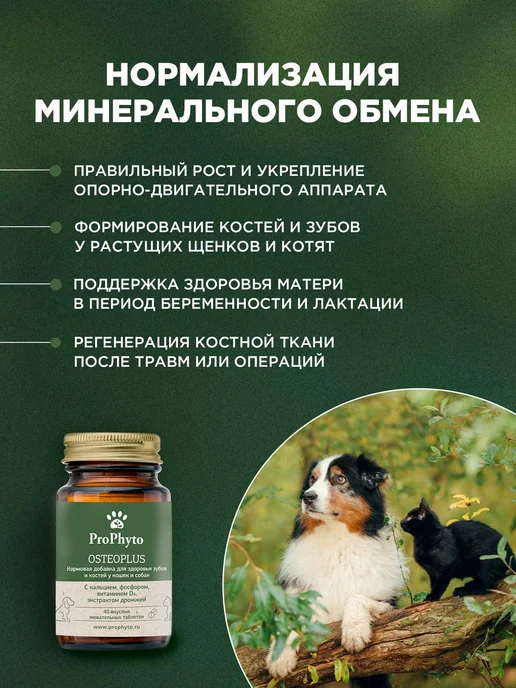 ProPhyto Витамины для собак и кошек Остеоплюс, 40 таблеток, 40, фото 2