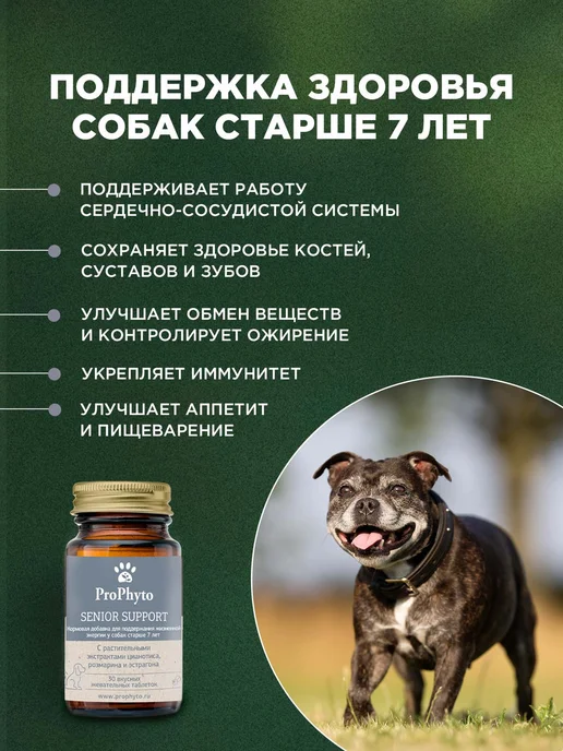 ProPhyto Витамины для пожилых собак Сеньор Саппорт, 30 таблеток, 30, фото 2