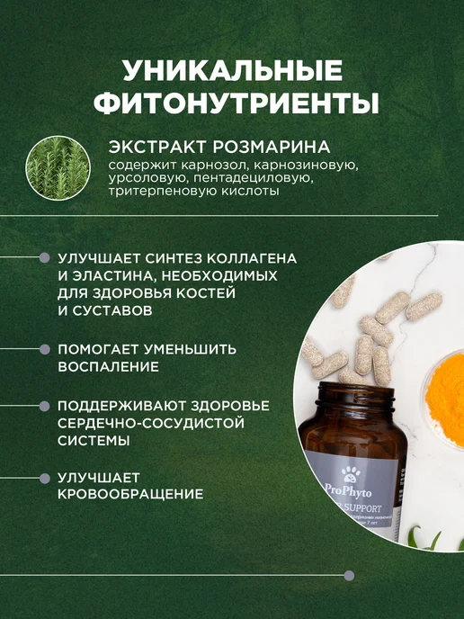 ProPhyto Витамины для пожилых собак Сеньор Саппорт, 30 таблеток, 30, фото 3