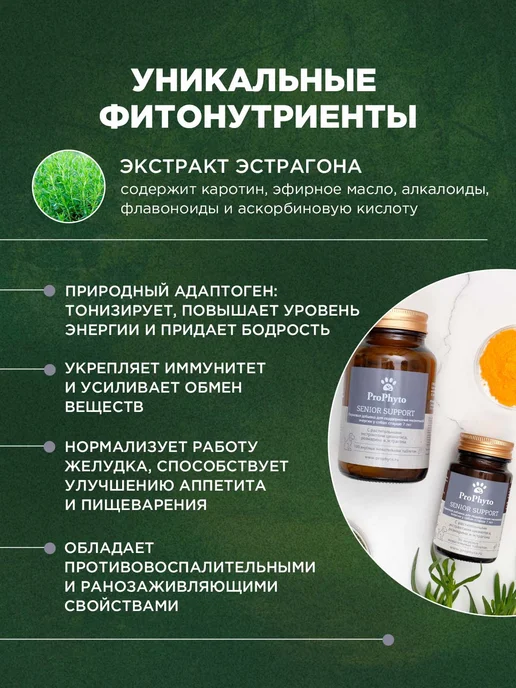 ProPhyto Витамины для пожилых собак Сеньор Саппорт, 30 таблеток, 30, фото 4