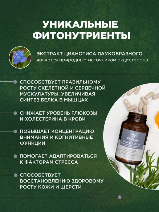 ProPhyto Витамины для пожилых собак Сеньор Саппорт, 30 таблеток, 30, фото 5