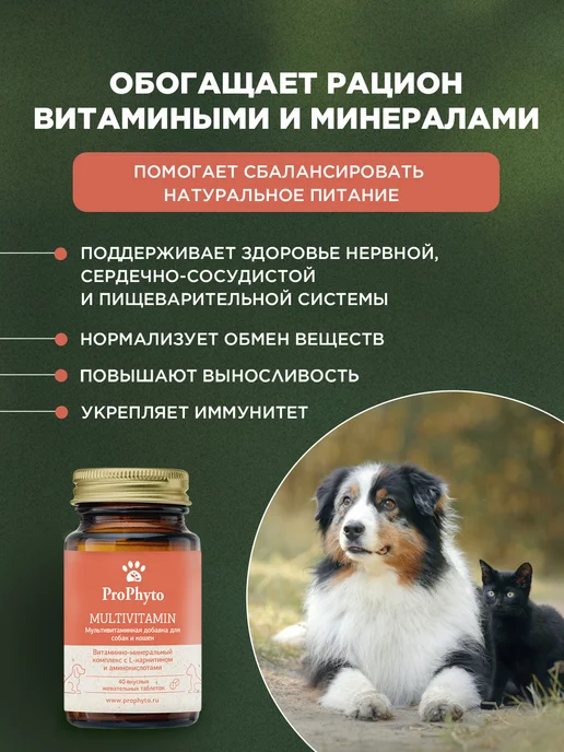 ProPhyto Мультивитамины для собак и кошек, 70 таблеток, 40, фото 2
