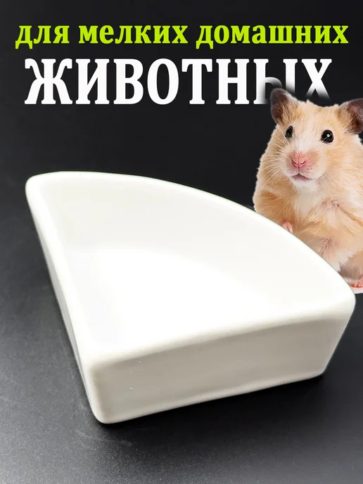 Vikki Zoo Миска керамическая угловая для грызунов и мелких животных, белый, фото 2