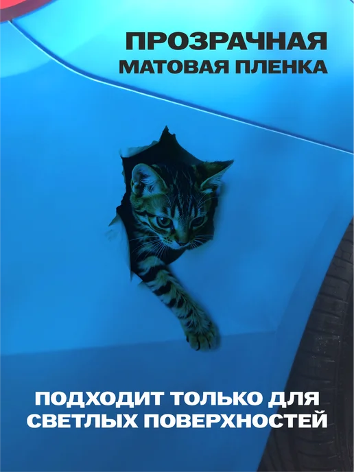 2stiсker Наклейка на авто котенок, вариант, фото 4
