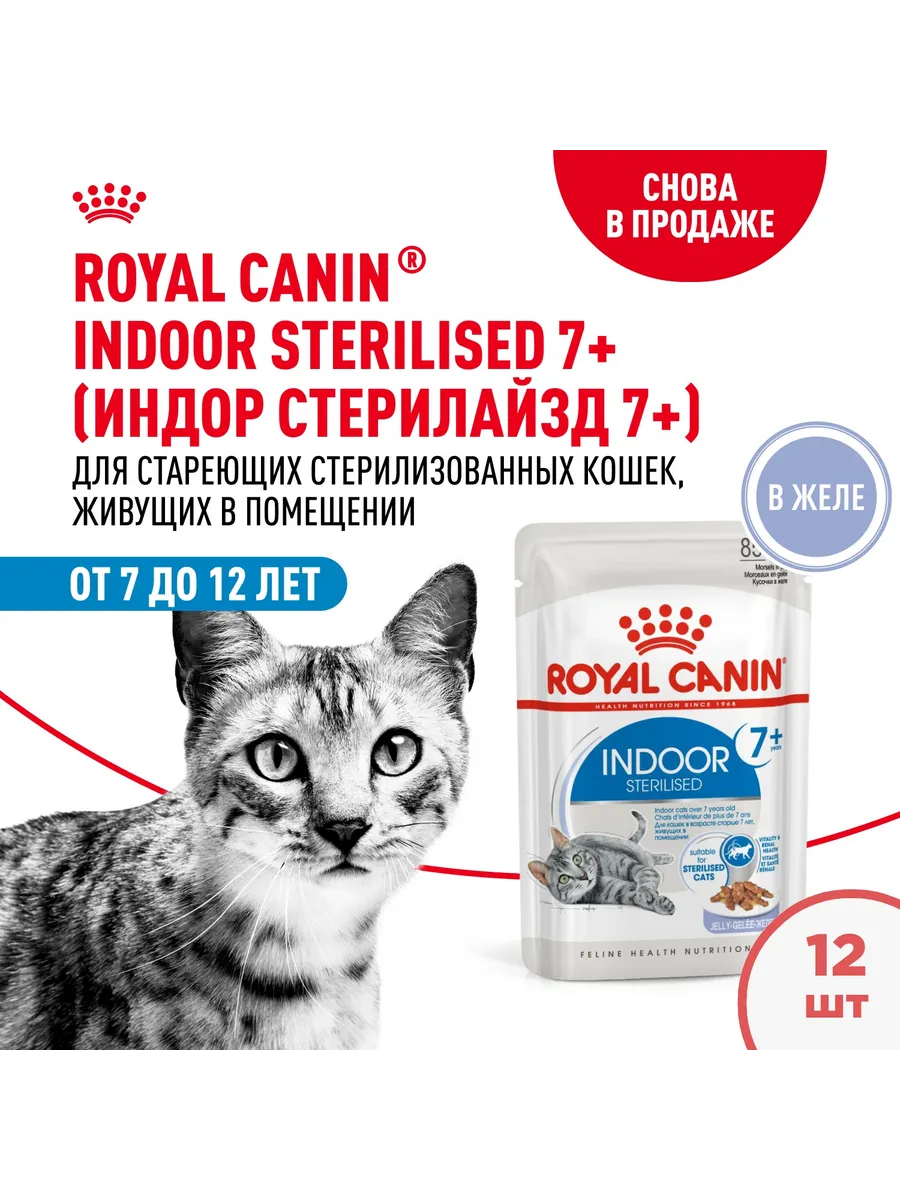 Роял канин стерилизед для кошек. Royal canin sterilised желе 28. Роял канин стерилизед для кошек. Royal canin sterilised желе 28. Royal canin sterilised желе 28.