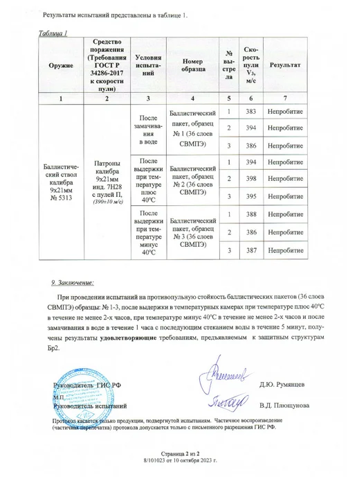 A&P Групп Комплект баллистики А-18 Голиаф-Г Ars Arma S M вариант 1 Бр2, 4 шт, фото 4