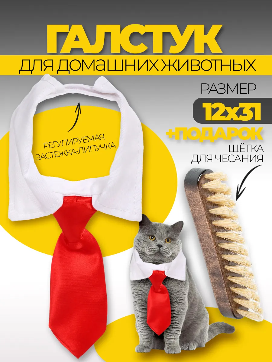 Ошейник с галстуком для животных и щетка для шерсти