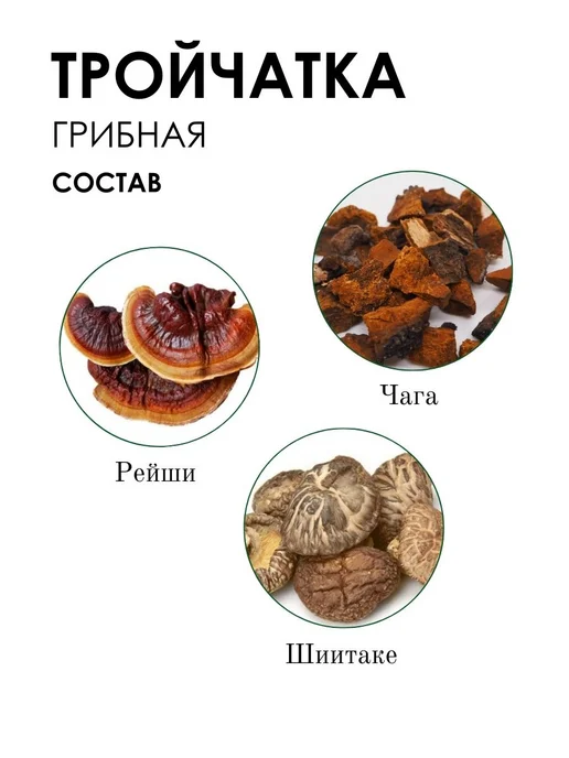 ФИТО-АПТЕКАРЬ Грибная тройчатка, 150 гр, 150 г, фото 2