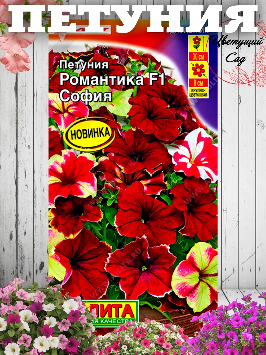 Петуния F1 Романтика София