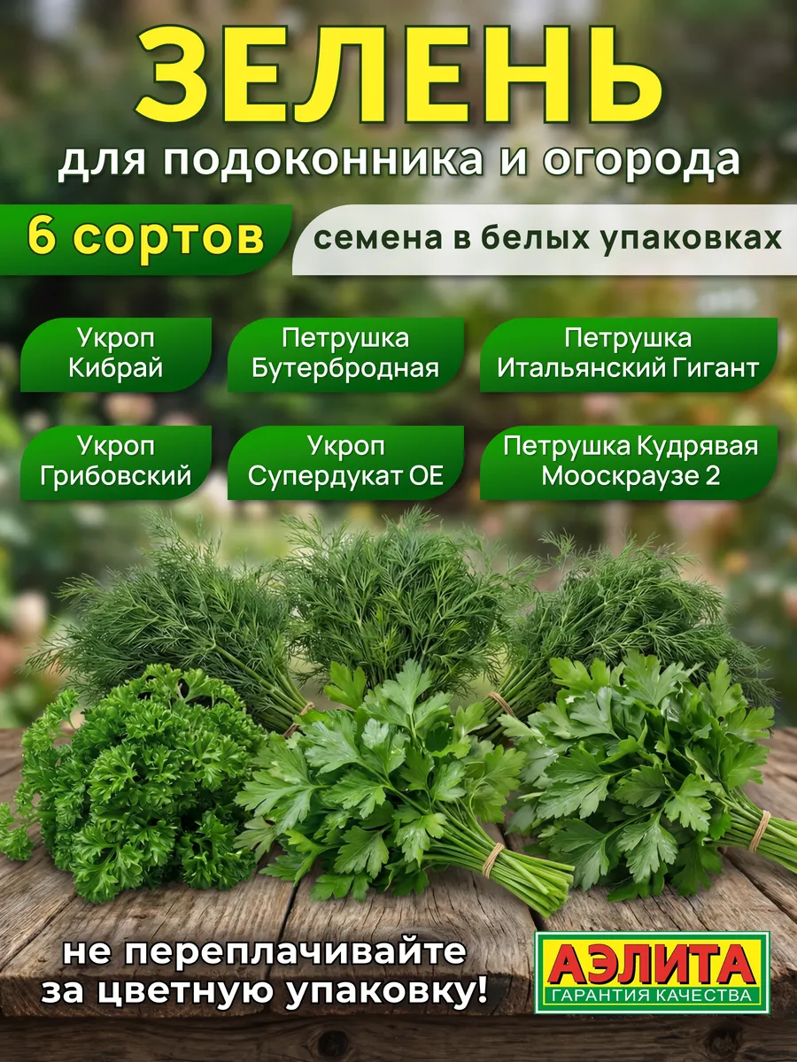 Семена зелени петрушки и укропа для подоконника и огорода