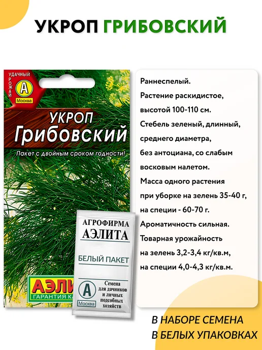 Агрофирма АЭЛИТА Семена зелени петрушки и укропа для подоконника и огорода, зеленый, фото 4