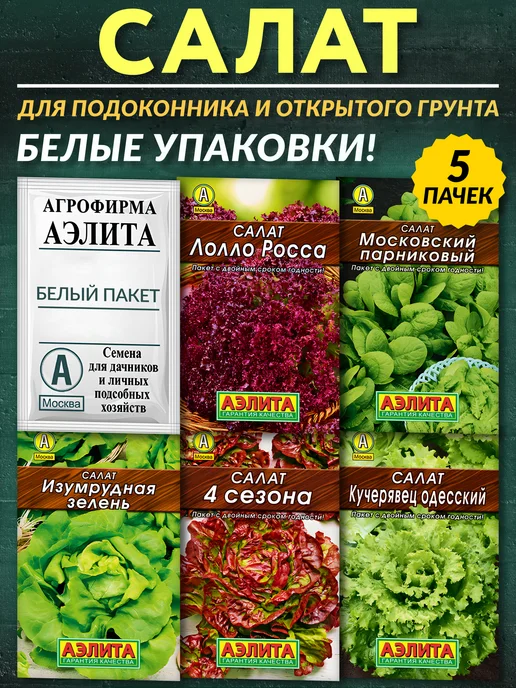 Агрохолдинг ПОИСК Семена салата для подоконника и открытого грунта, белый, фото 2