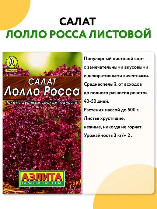 Агрохолдинг ПОИСК Семена салата для подоконника и открытого грунта, белый, фото 3