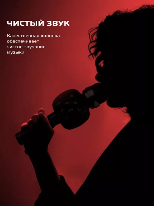 Wster Музыкальный микрофон караоке детский, черный, фото 8