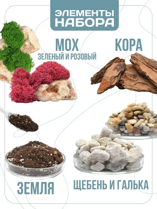 Belolipa Home Флорариум, подарочный набор с вазой, вариант, фото 3