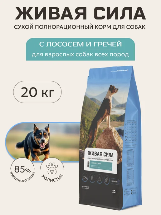 Сухой корм Живая сила Гречей Гранула для собак, крупные, лосось, 20 кг