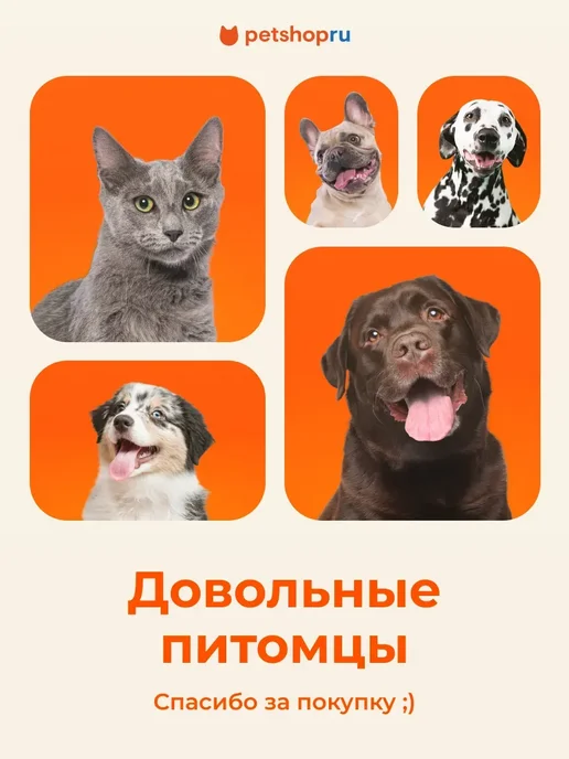 PetShop Картонная когтеточка лежанка для кошки “Эльза” 56х30 см, вариант, фото 8