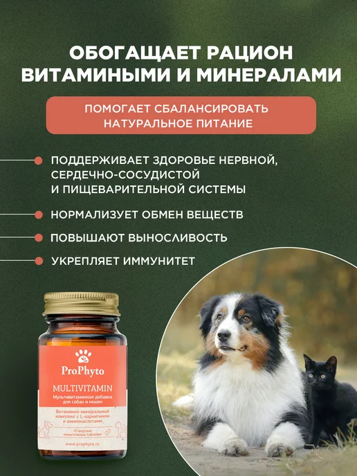 ProPhyto Мультивитамины для собак и кошек, 70 таблеток, 70 шт, фото 2