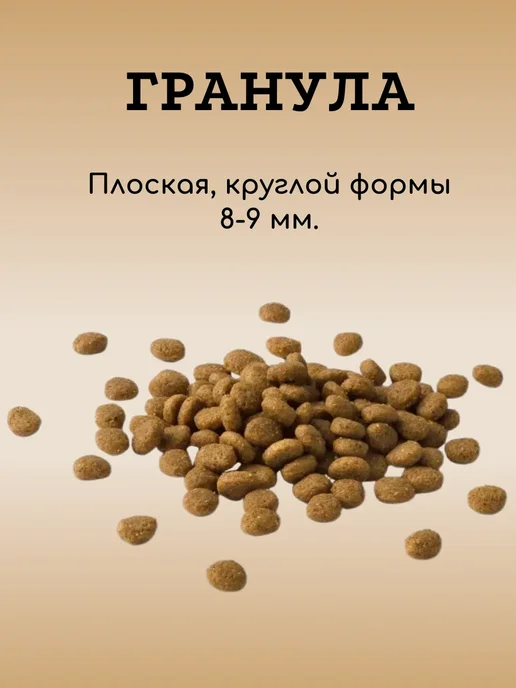 Сухой корм Bravadi Fan Пребиотики для собак, мелкие, ягненок, 1,4 кг, фото 4