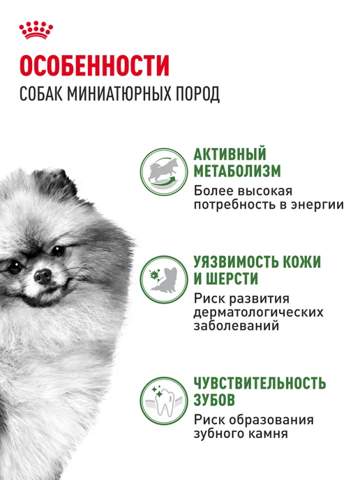 Сухой корм Royal canin Indoor для собак, взрослые, мелкие, 0,5 кг, фото 3